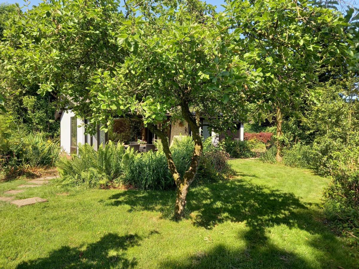 Aartswoud Natuurhuisje Eartswoud מראה חיצוני תמונה